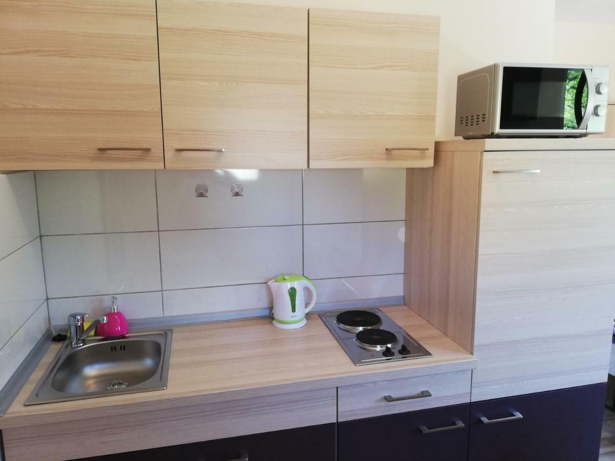 Studio Apartment Palmira Ližnjan المظهر الخارجي الصورة